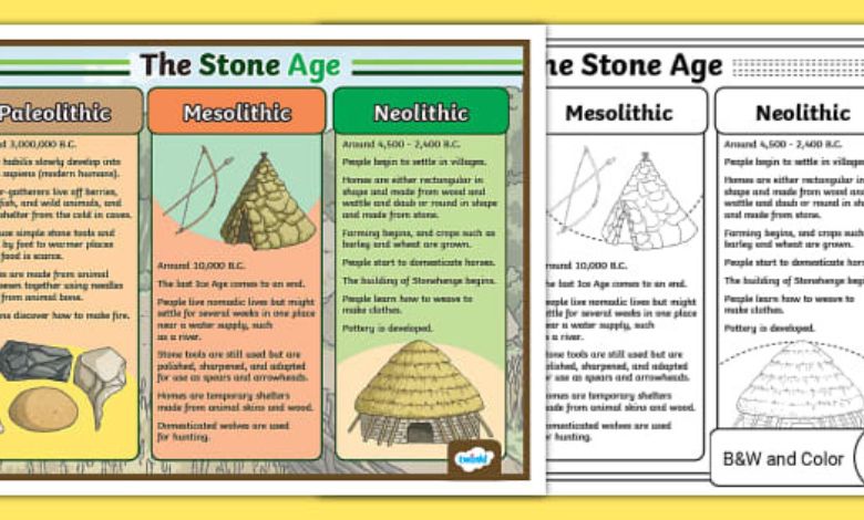 How Does The Aschach Site Link The Mesolithic And Neolithic Periods?